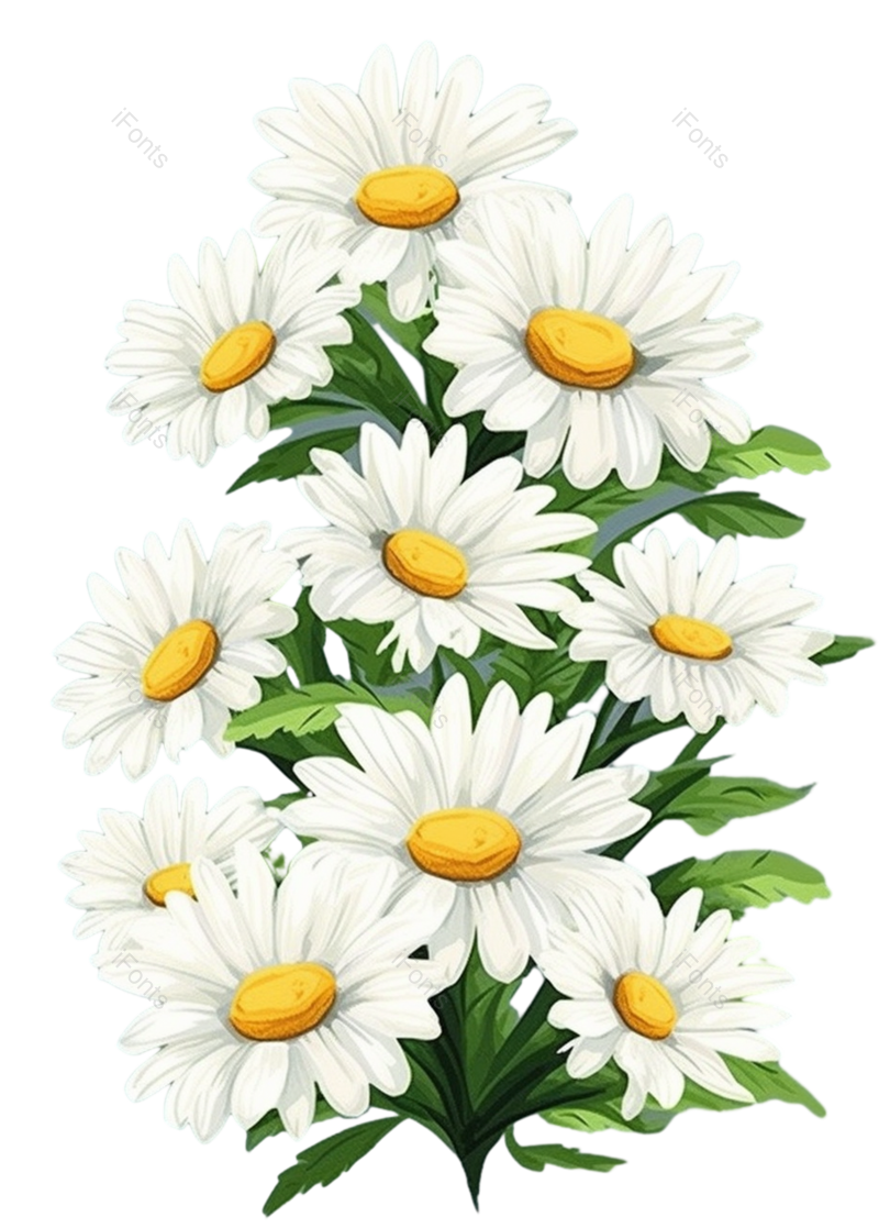 清新图片,夏天元素,插画PNG,唯美免抠素材